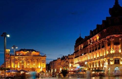Nearby attraction, Appart Lumineux 2ch proche Pres d'Arenes avec wifi tv et patio in Tournezy