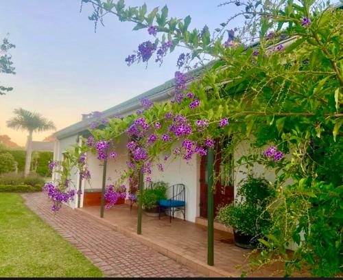 Whistlewood Guesthouse Walmer, Port Eizabeth