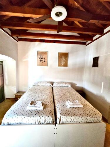 Casa en La Corredera, Córdoba (fotografie 10)