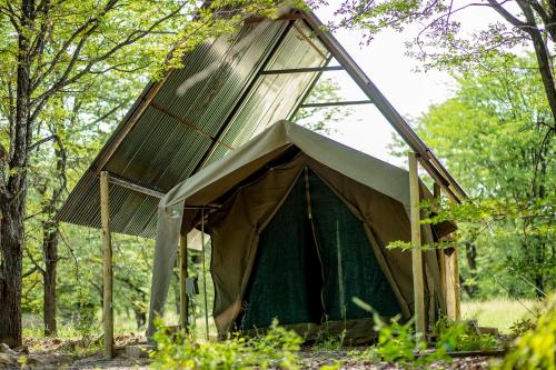 Se xaxa Camp in Maun