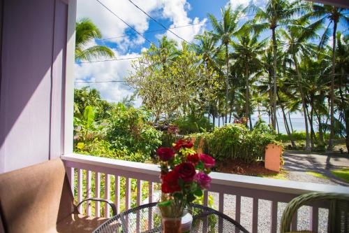 Létesítmények, The Dolphin Cottage at Kehena Beach in Kehena (HI)