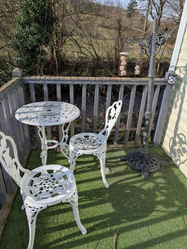 Otter view Otter view