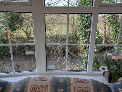 Otter view Otter view