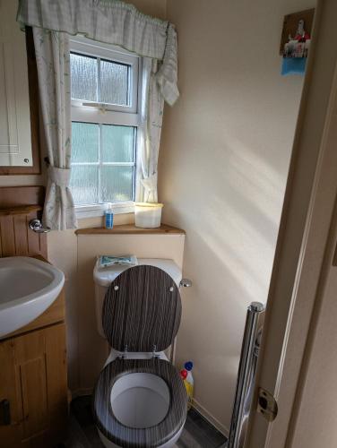 Otter view Otter view