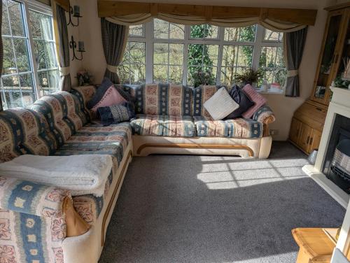 Otter view Otter view