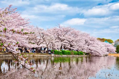 MY House YANESEN Tokyo
