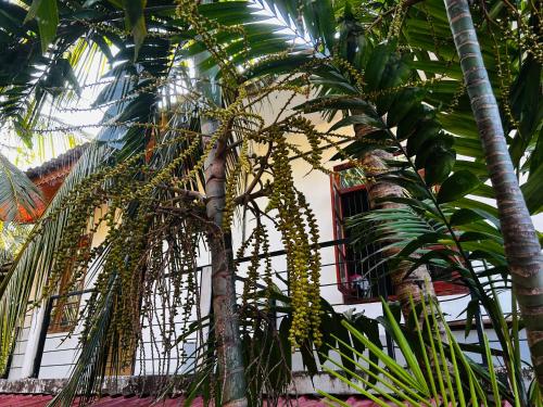 Deluxe Double Room with Air Conditioner & Balcony image 10