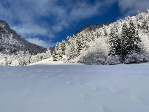 Studio for 2 people with parking in Torgona