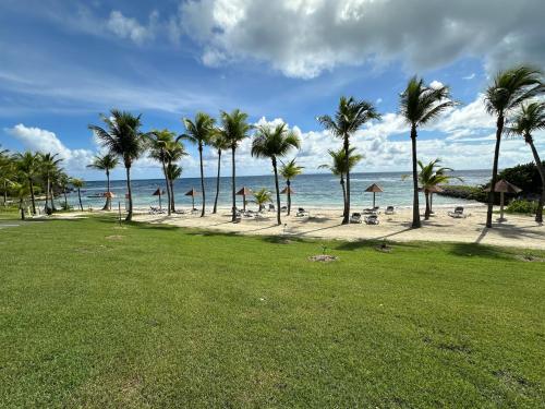Studio Baya en bord de mer - Location saisonnière - Sainte-Anne