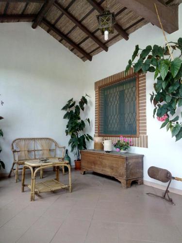 Ieeja, La Casa Dell'antiquario in Graniti