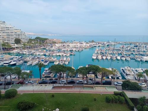 Grand studio vue mer à Marina Baie des Anges 4