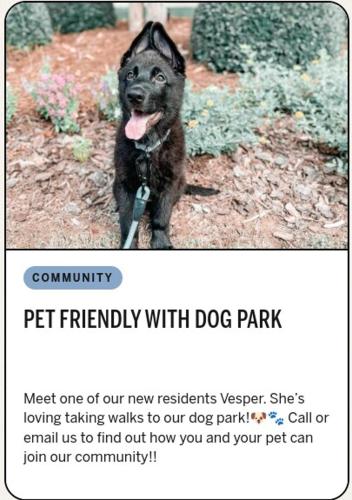 Athens in Style! Athens in Style!