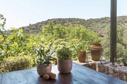 Surrounding environment, Orgon Farm Traditional Houses in Kastelli