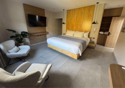 Hotel NFJ Inversiones