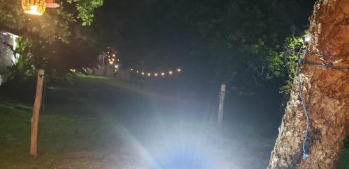 FAZENDA BOSQUE DAs PALMEIRAS