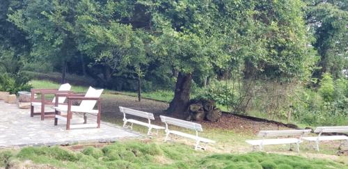FAZENDA BOSQUE DAs PALMEIRAS