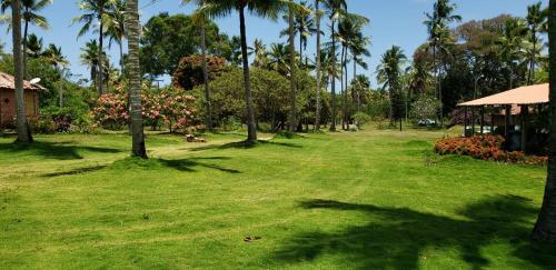 FAZENDA BOSQUE DAs PALMEIRAS