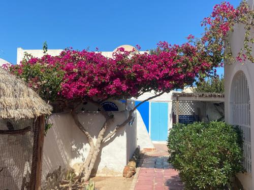 RESIDENCE DAR YASMINa