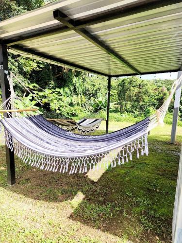 Rainforest Serenity Home - image 11