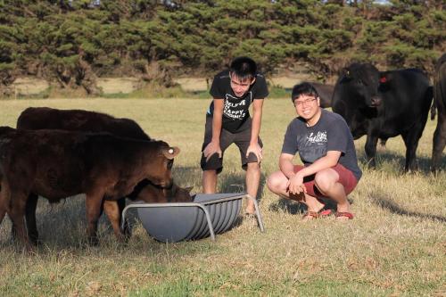 Bimbadeen Phillip Island Farm Retreats in Ventnor