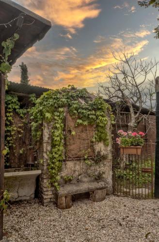 منظر, Cuore di vigna in Umbria in San Marino