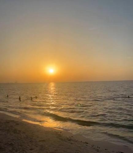 استديو استديو