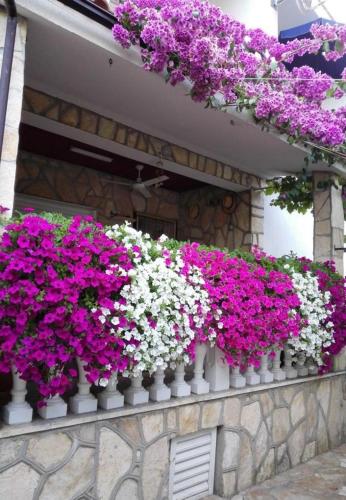 Apartments Dobri - 500m from beach - image 3