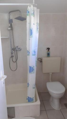 Apartments Dobri - 500m from beach - main image