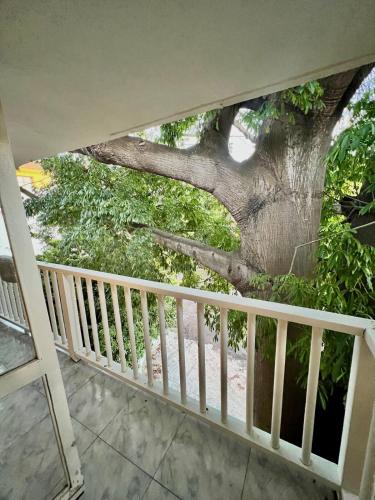 Two-Bedroom Apartment image 7