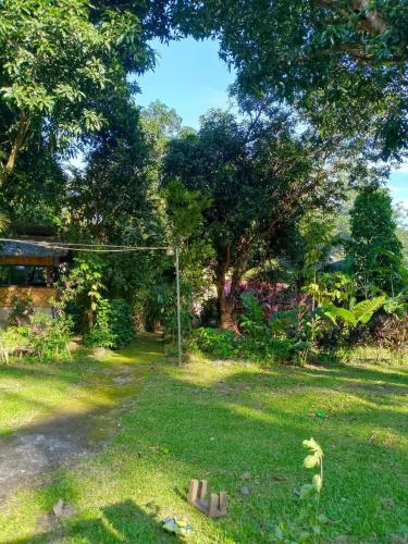 Little Bridges - Camiguin