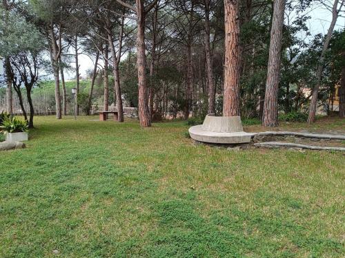 House with a large garden and a pool, Calonge (foto 10)