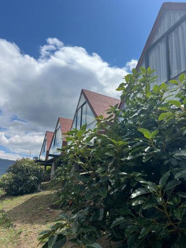 Cabañas-ALPINA-PATATE (Cabanas-ALPINA-PATATE) in Patate