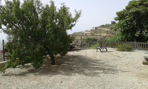 Casapancho 1 y 2 - Casa Rural - Fasnia - Tenerife