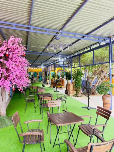 設施, 寧朱2號酒店 (Ninh chu 2 hotel) in 潘郎-塔占