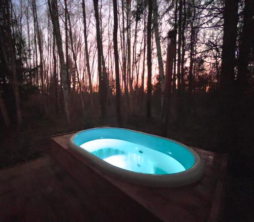 Paunküla Nature Resort (forest villa) (Paunkula Nature Resort (forest villa)) in Kiruvere