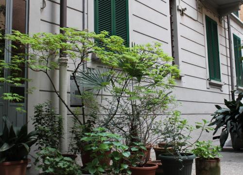 Lepetit Milano - image 4