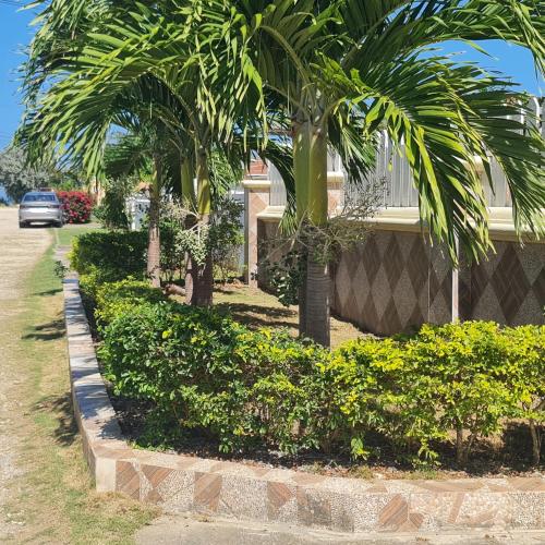 حديقة, Paradise place Grande twin beds in Discovery Bay