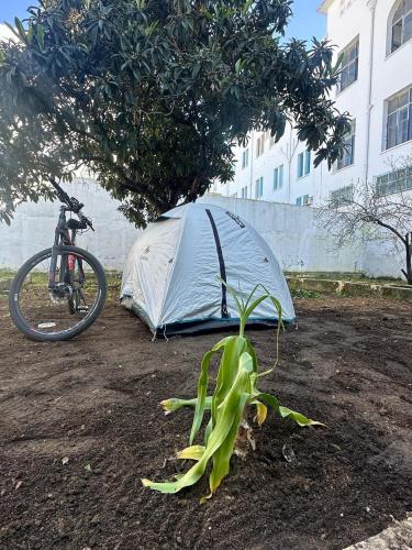 Nomads Hostel Tunisia