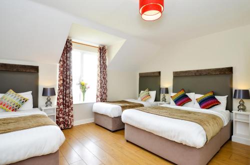 Dingle Harbour Lodge B&B - image 10
