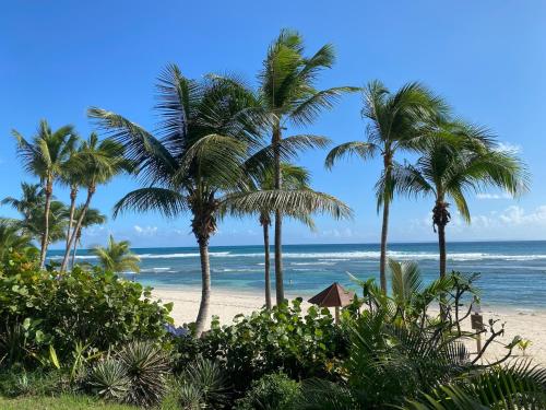 Studio Toți en bord de mer - Location saisonnière - Sainte-Anne