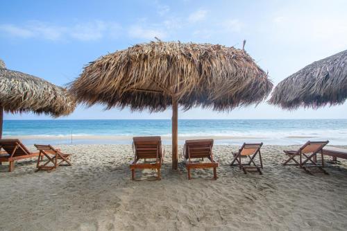 Senda Kokkos Beach Tayrona - image 3
