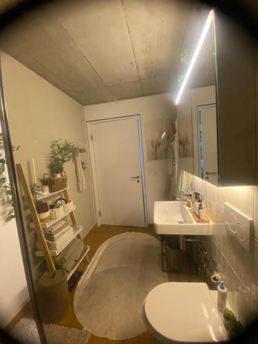 ESC Rhyside Basel, Basilea (foto 2)