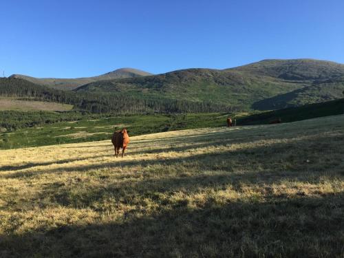 Mourne Heights Self Catering Cottage – Newcastle