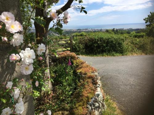 Mourne Heights Self Catering Cottage – Newcastle