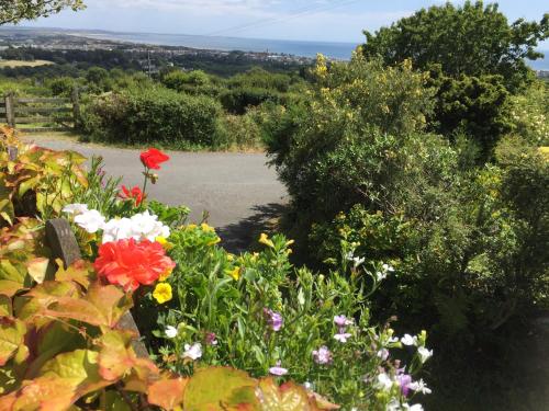 Mourne Heights Self Catering Cottage – Newcastle