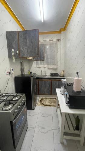 LEMON APARTMENT DREAMSTAR STAYs in 蒙巴薩