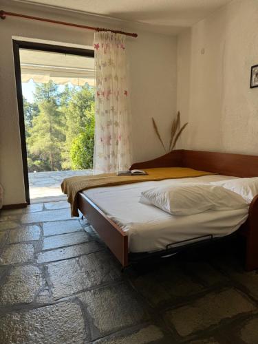 Villa ELANI Chalkidiki near to the sea Villa ELANI Chalkidiki near to the sea