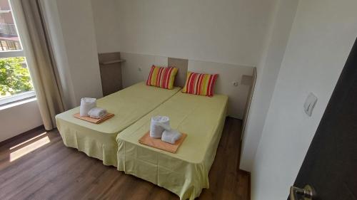 Синя пеперуда Blue butterfly in Primorsko