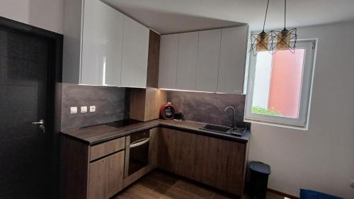 Синя пеперуда Blue butterfly in Primorsko