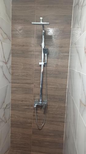 Синя пеперуда Blue butterfly in Primorsko